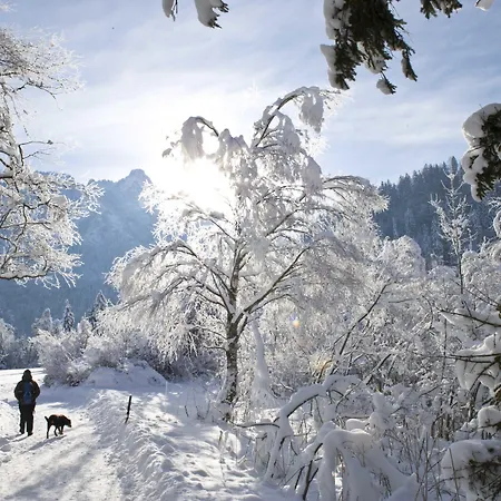 Szálloda Wiedemann 3*
