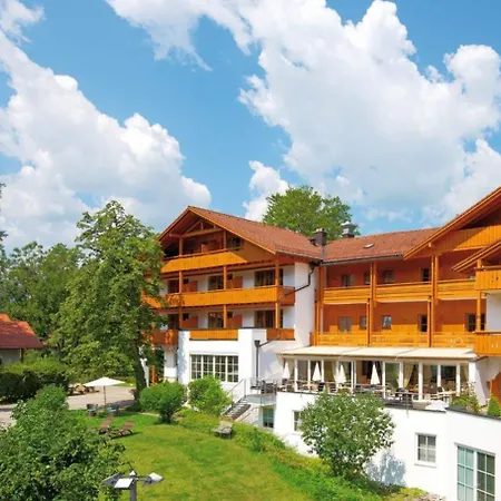 Wiedemann 3*
