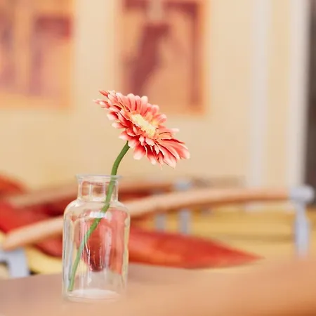 Wiedemann 3* Füssen